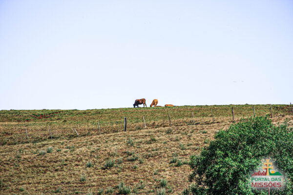 Ingresso Fazenda Paraíso -  São Miguel das Missões