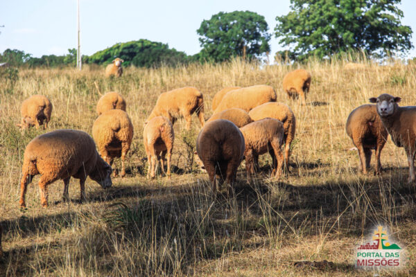 Ingresso Fazenda Paraíso -  São Miguel das Missões