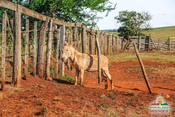 Ingresso Fazenda Paraíso -  São Miguel das Missões