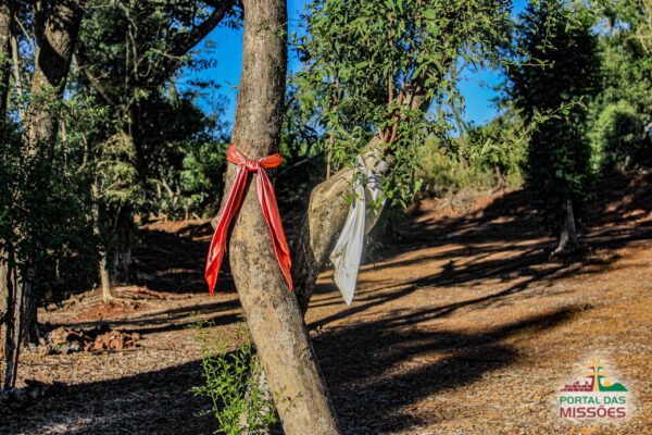 Ingresso Fazenda Paraíso -  São Miguel das Missões