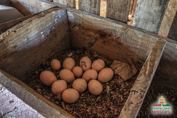Ingresso Fazenda Paraíso -  São Miguel das Missões