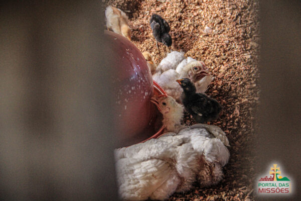 Ingresso Fazenda Paraíso -  São Miguel das Missões